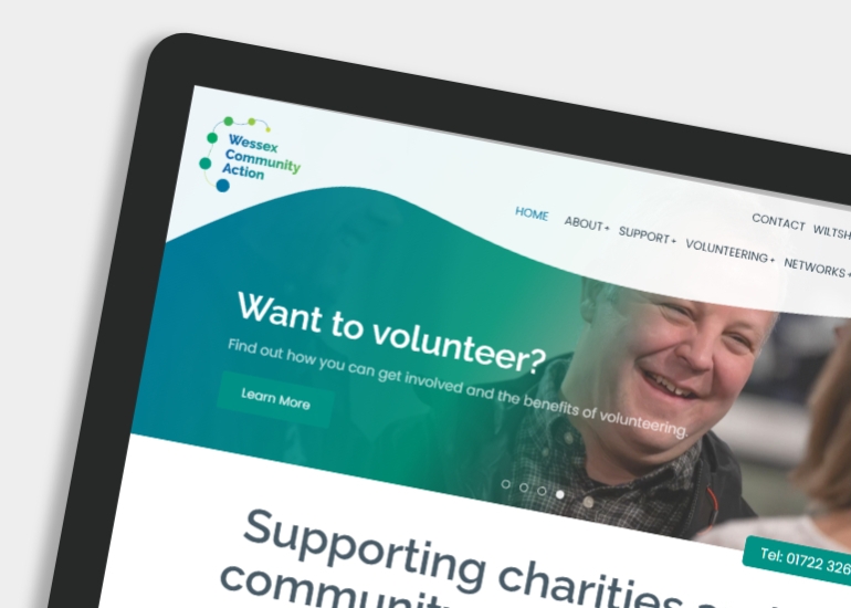 WFSA - homepage screenshot